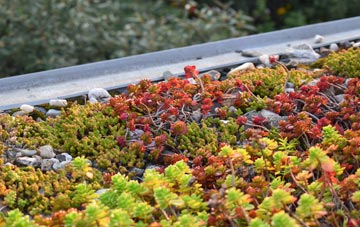 the cost of Crewe green roof installation