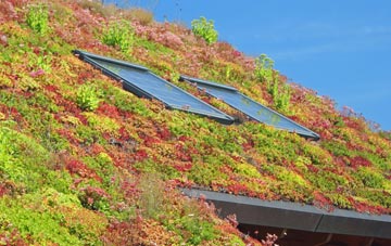 Crewe living roof systems